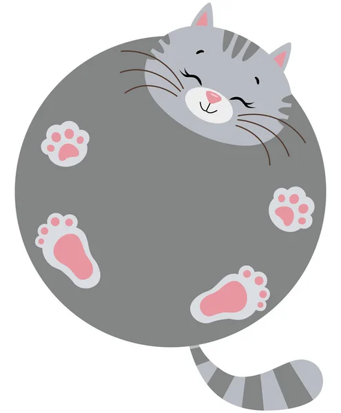 Legrační Roztomilá Kočka Kulatým Tělem — Stockový vektor