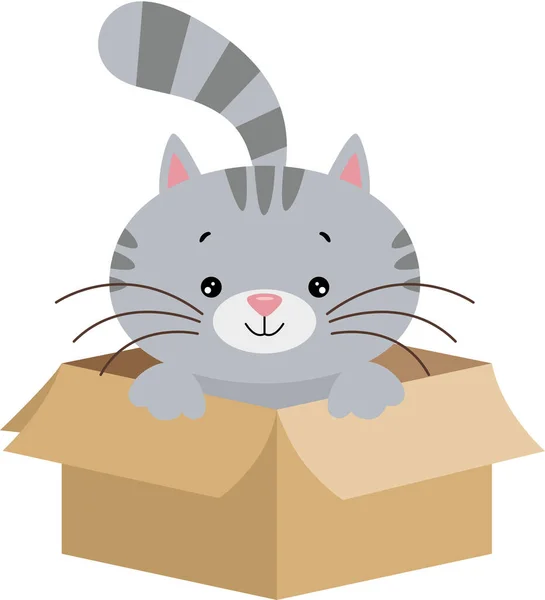 Cute Szary Kot Pudełku Kartonowym — Wektor stockowy