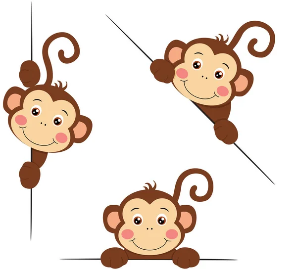 可敬的猴子从后面以不同的姿势向外张望 — 图库矢量图片