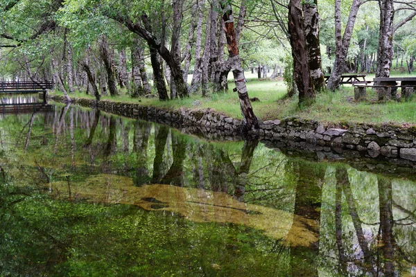 Schöner Ort Mit Grünen Bäumen Und Fluss — Stockfoto