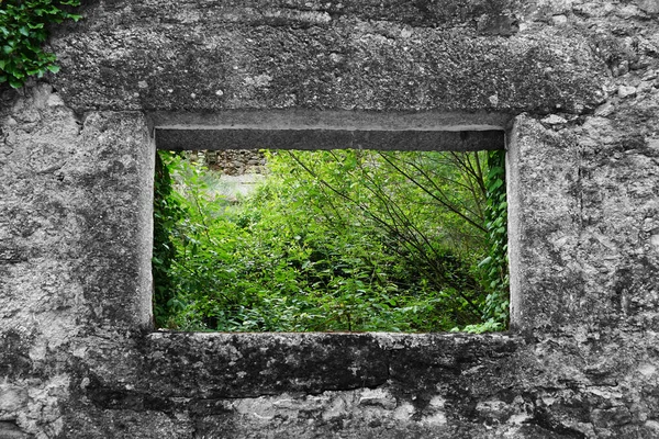 Zeď Okno Starého Opuštěného Domu Lese — Stock fotografie
