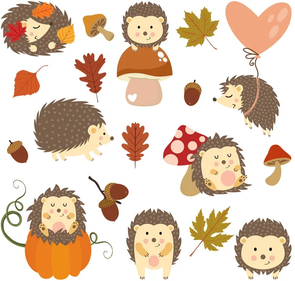一套可爱的秋季刺猬 — 图库矢量图片
