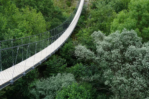 モンテゴ パスウェイの緑の森に架かる歩行者用吊り橋 グアルダ ポルトガル — ストック写真