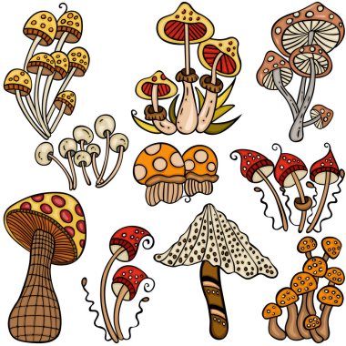 El çizimi karikatür tarzı sonbahar mantarları.