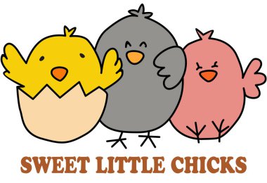 Group of three sweet little chicks