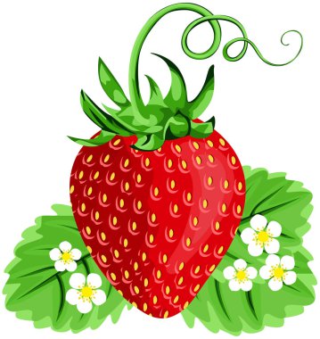 Lezzetli taze yapraklı kırmızı çilek.