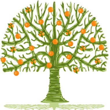 Taze portakallı komik portakal ağacı