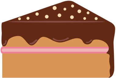 Bir parça lezzetli çikolatalı tatlı kek.