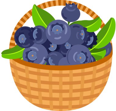 Böğürtlen dolu hasır sepet.