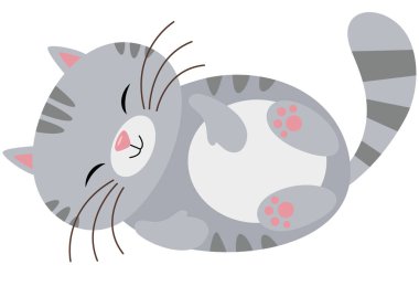 Tatlı mutlu gri kedi yalan söylüyor
