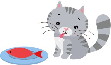 Kırmızı balık yiyen aç kedi.