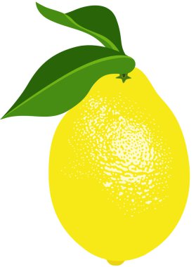 Yapraklı taze sarı limon.