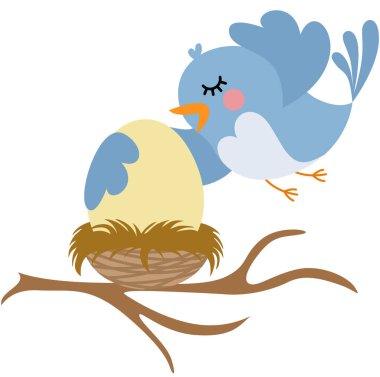 Şirin mavi kuş yuvasında yumurtayı kucaklıyor.