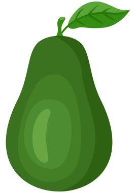 Taze yeşil avokado beyaz üzerinde izole