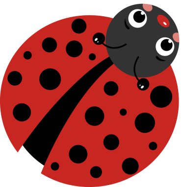 Küçük uğur böceği beyazda izole edilmiş