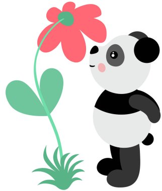 Şirin panda büyük bir çiçek gibi kokuyor.
