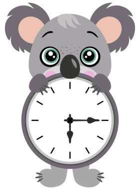 İçinde saat olan sevimli bir koala.