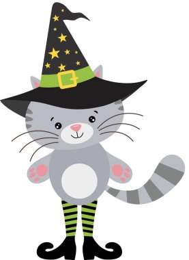 Cadı şapkalı ve çizmeli Cadılar Bayramı kedisi