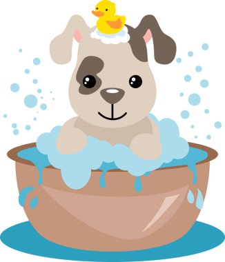 Sevimli köpek banyo