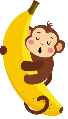 Dost canlısı maymun muzun üstünde uyuyor