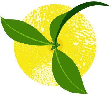 Yapraklı taze sarı limon.