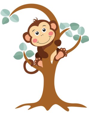 Ağacın Arkasından Bakan Meraklı Maymun