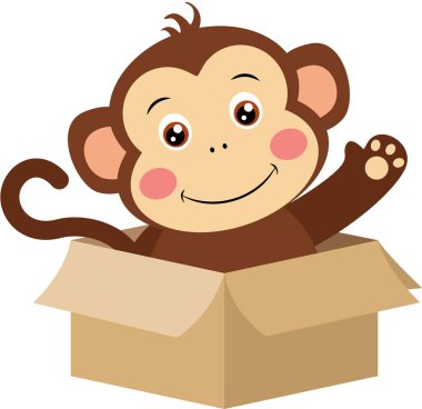 Karton kutunun içinde sallanan şirin maymun.