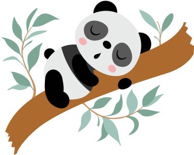 Tatlı Uyuyan Panda, Vecto dalına kıvrılmış.