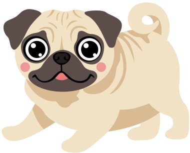 Büyük Gözlü Sevimli Bej Pug