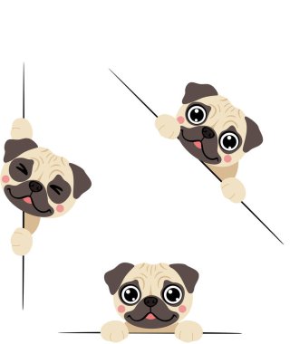 Sınır ötesine bakan sevimli pug yavruları.