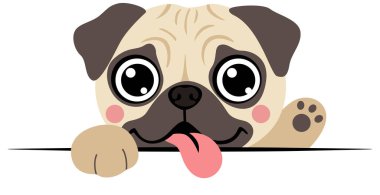 Tatlı Pug Puppy Edge 'i dikizliyor.