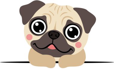 Arkadaş canlısı bakışlı Pug Dog dikizleme