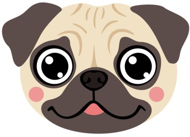 Dost canlısı görünen Pug Puppy Surat