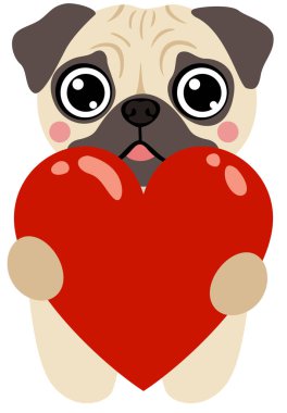 Kırmızı Kalp Tutan Şirin Pug Köpeği