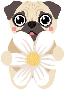 Papatya çiçekli sevimli Pug Puppy