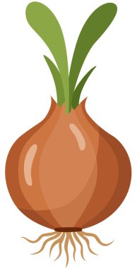 Yeşil filizli Kahverengi Soğan