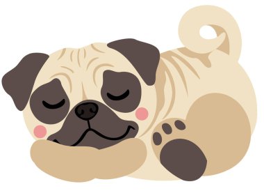 Tatlı Pug Şekerleme yapıyor
