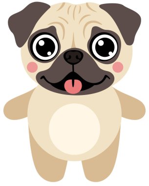 Koca Gözlü sevimli Pug Puppy
