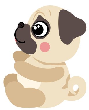 Büyük Gözlü Oyuncu Tan Pug Puppy