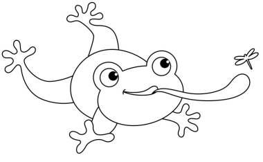 Kurbağa uzun dilli bir yusufçuğu kovalıyor.