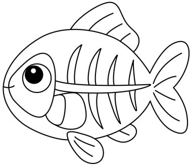 Şirin X-ray Balık Ana Hattı Renk Şablonu