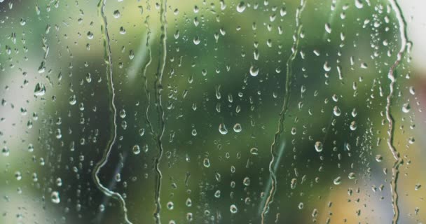 Vízcseppek Közelsége Üvegen Ahogy Lefolynak Esőcseppek Ablaküvegre Homályos Háttér — Stock videók