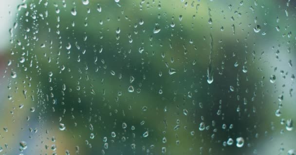 Vízcseppek Közelsége Üvegen Ahogy Lefolynak Esőcseppek Ablaküvegre Homályos Háttér — Stock videók