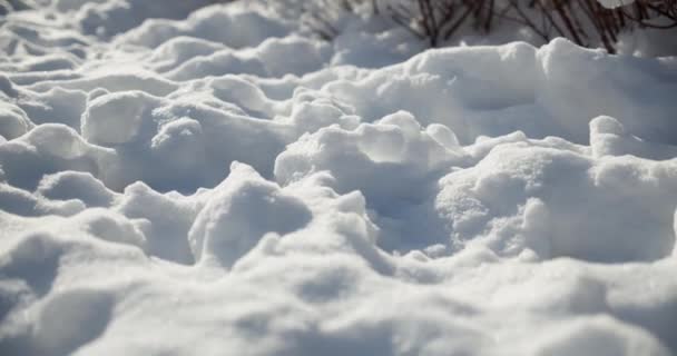 Земля Покрита Поверхнею Снігу Кристали Льоду Сніжинки Сяють Блищать Крупним — стокове відео