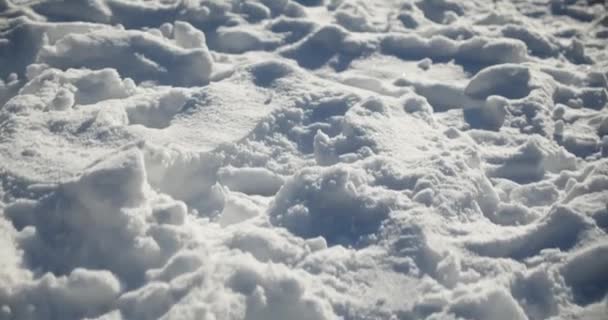 被雪覆盖的地面 冰晶和雪花闪闪发光 在阳光灿烂的日子里小雪漂移的特写 — 图库视频影像
