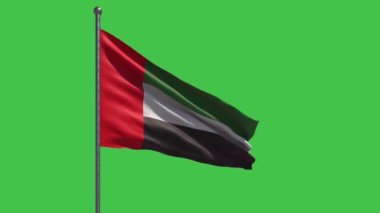 Birleşik Arap Emirlikleri Bayrak Dalgalanması Yeşil zemin üzerinde Yavaş Hareket kolay anahtarlama için mükemmel. Büyük BAE bayrağı dalgaları. Ulusal Bayram Kutlaması - Emek, Bağımsızlık, Anma, Gaziler, Vatanseverler