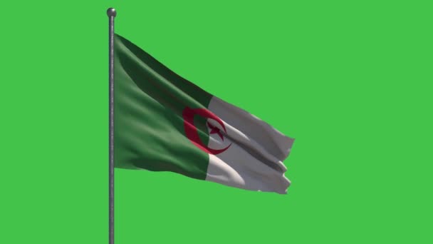 Drapeau Algérie Agitant Slow Motion Sur Fond Vert Parfait Pour — Video