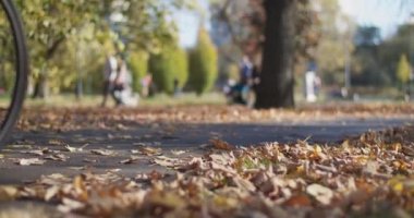 Şehir parkında bisiklet kullanan bisikletçilerin yakın görüntüsü. Altın sonbahar yapraklarıyla alçak açılı ağır çekim..