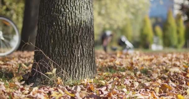 Pessoas Andam Bicicleta Parque Cidade Durante Temporada Outono Movimentos Lentos — Vídeo de Stock