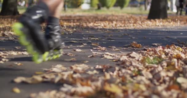 Közelkép Egy Kerékpárútról Városi Parkban Embereket Sétáltatni Egy Kutyával Homályos — Stock videók